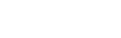 Niagara Builder Logo