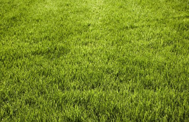 Lock & Leave Lifestyle